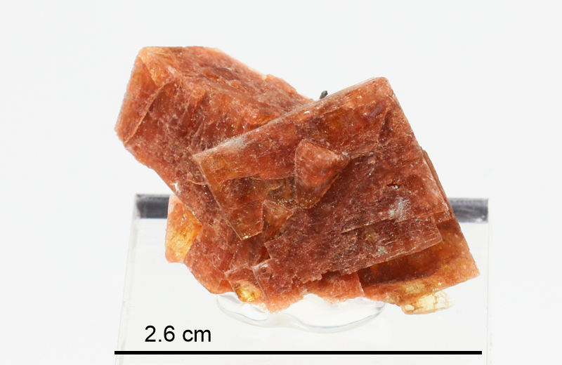 Chabazite TNs (Nova Scotia)